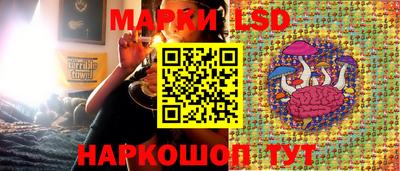 PSILOCYBIN Будённовск