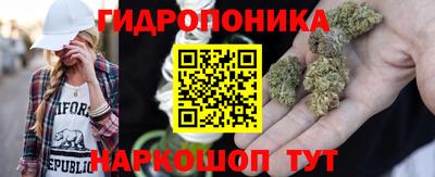 PSILOCYBIN Будённовск