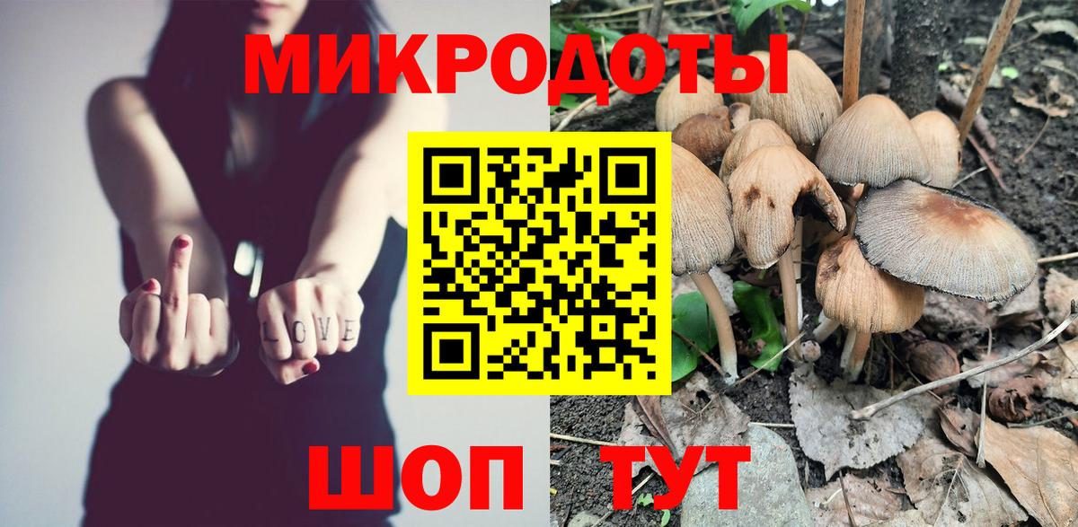 Галлюциногенные грибы Cubensis Геленджик